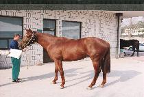 �����ҽ� (CHOEUN SOSHIK) ����