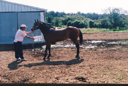 ��� ����