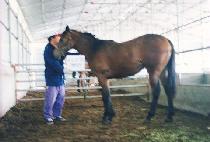 �ݴ�� (KEUMDAESAN) ����