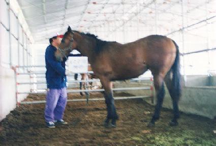 �ݴ�� ����