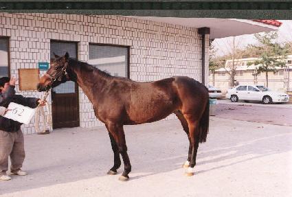 �������� ����