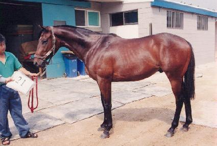 �̵�� ����