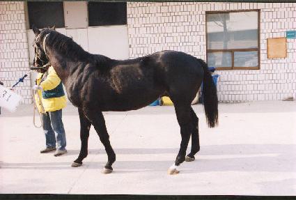 �ݺ����� ����