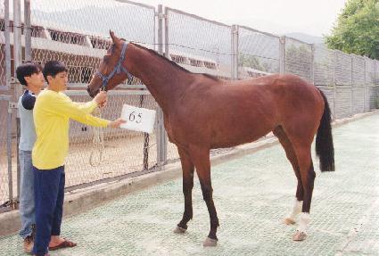 ���� ����