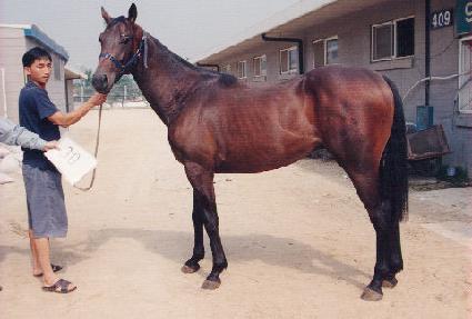 ��� ����