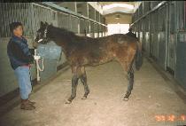 ���� ����