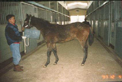 ���� ����