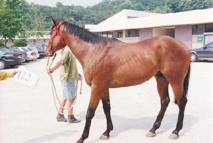 �߹�� ����