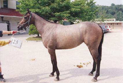 ĥ�Ҿ� ����