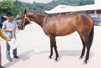 ������� ����