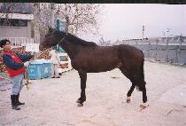 �繰�� (SAMULP��AE) ����