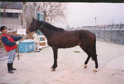 �繰�� ����