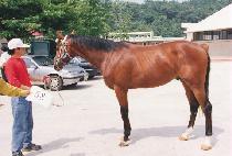 ������Ŀ (QUICK BAKER) ����