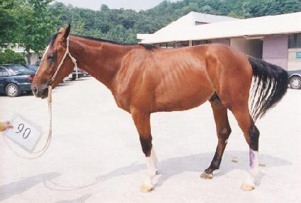 ��ȣ���� ����