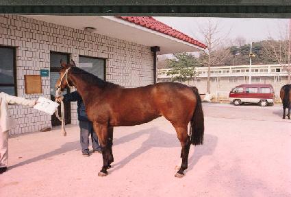 ��ǳ�� ����