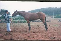 õ���� (CH��EONMANSEUNG) ����