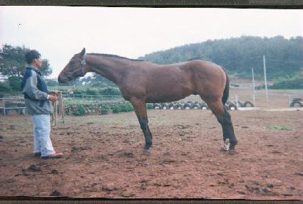 õ���� ����