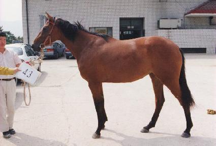 Ȳ���ٶ� ����