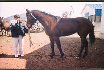 ġ���� (CH��ISULLYEONG) ����