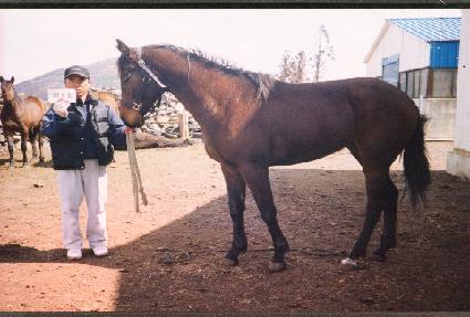 ġ���� ����