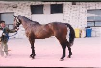 Ž���Ѻ� (T��AMNA HANBYEOL) ����