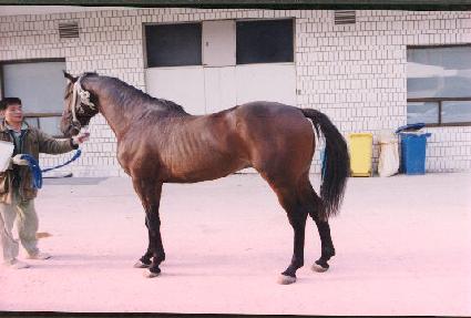 Ž���Ѻ� ����