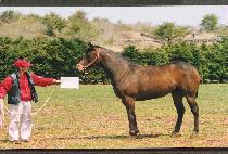 ������ (SEON GWA EUN) ����