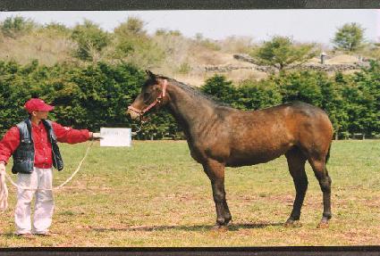 ������ ����