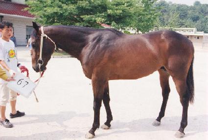 ������ ����