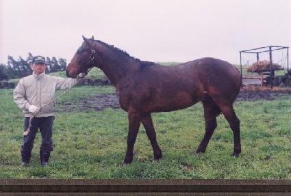 ���Ǵ��� ����