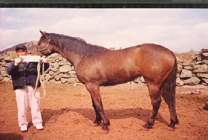 ��ȭ�� ����