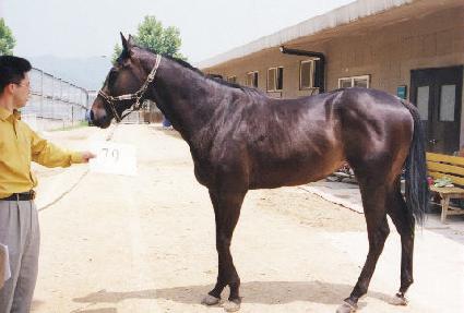 ��� ����