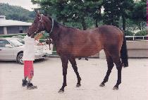 ���ؽ¸� (TONGHAE SEUNGNI) ����