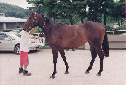 ���ؽ¸� ����