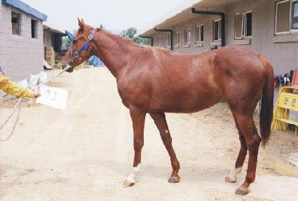 ���뵵�� ����