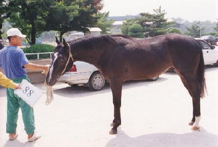 ��� ����