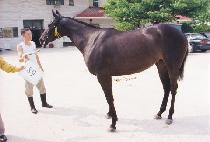 ���̻� (MAISAN) ����