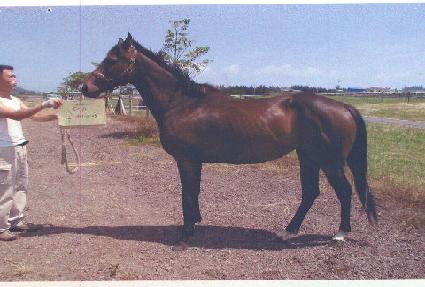 ����̱� ����