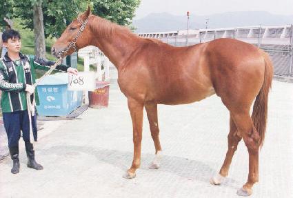 �����õ�� ����