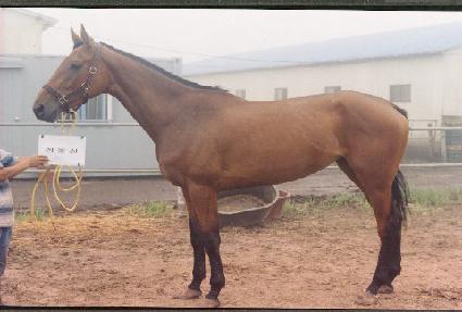 ������ ����