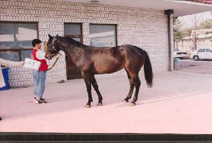 ���Դ� ����