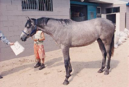 �����Ѷ�� ����