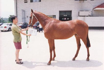 �¹��� ����