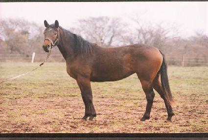 ������õ ����