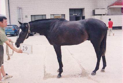 ū���� ����