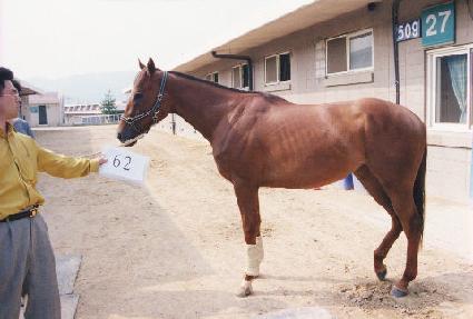 ž�����̵� ����