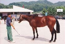 ��õ (HAPCH��EON) ����