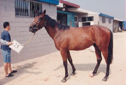 ����� ����