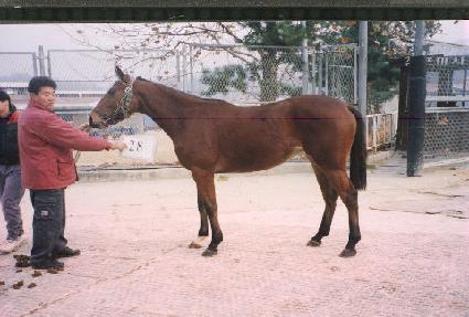 �̷�Ư�� ����