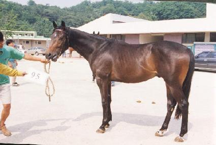 ������Ʈ ����